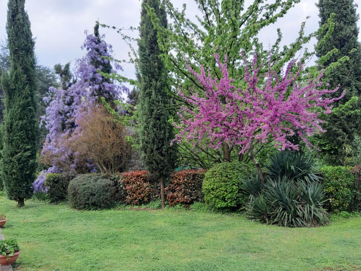 Il Fienile Del Colle Villa Pescia Luaran gambar